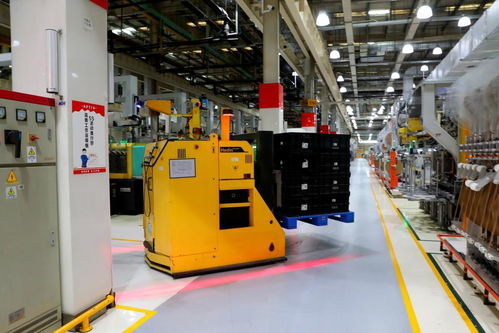 在上海嘉定感受智能汽車創新“熱帶雨林”